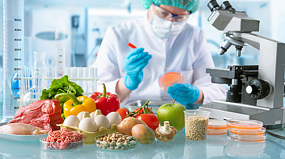 Como a tecnologia pode ajudar no controle de perdas na indústria de alimentos