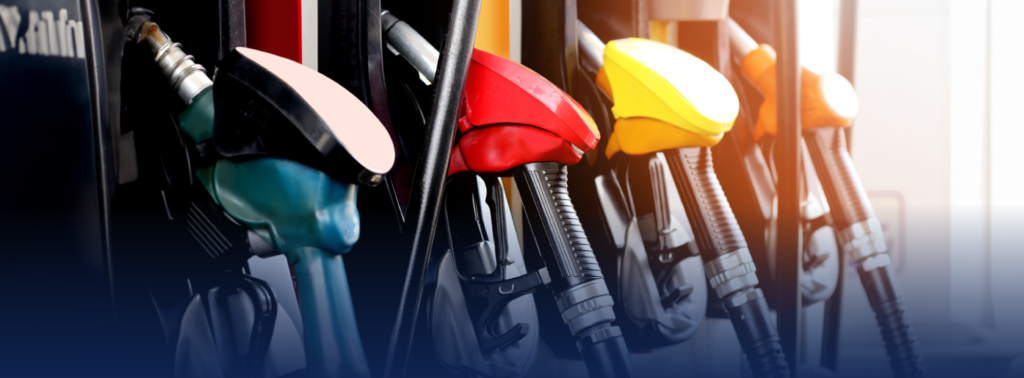 Reformulyzer M4: Análise Completa e Rápida dos Grupos da Gasolina com Cromatografia Gasosa Multidimensional