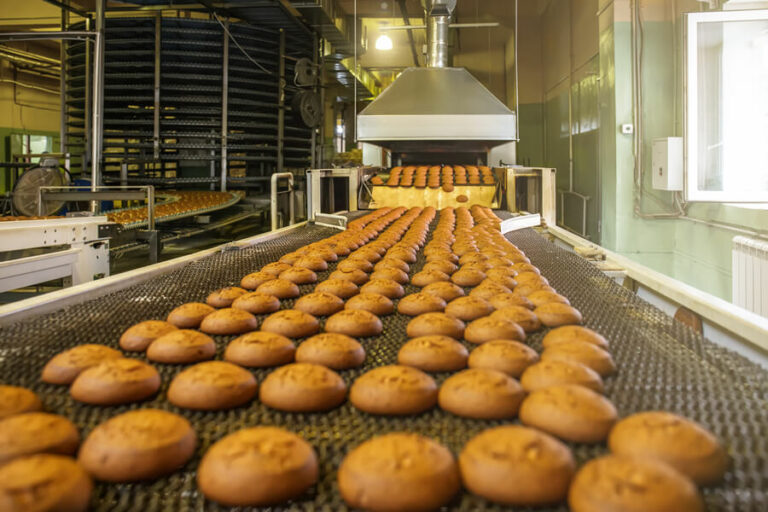 Vision Inspection of Bread