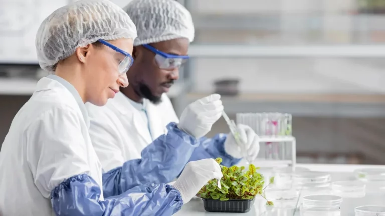 Análise de fertilizantes: parâmetros essenciais para controle de qualidade